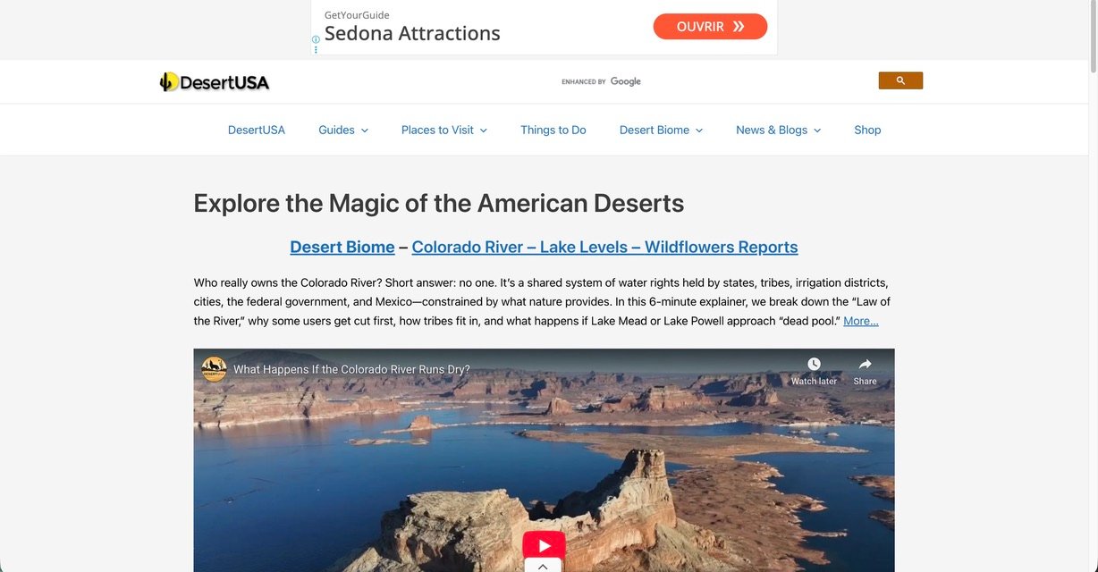 Desert landscape with sand dunes and evening light