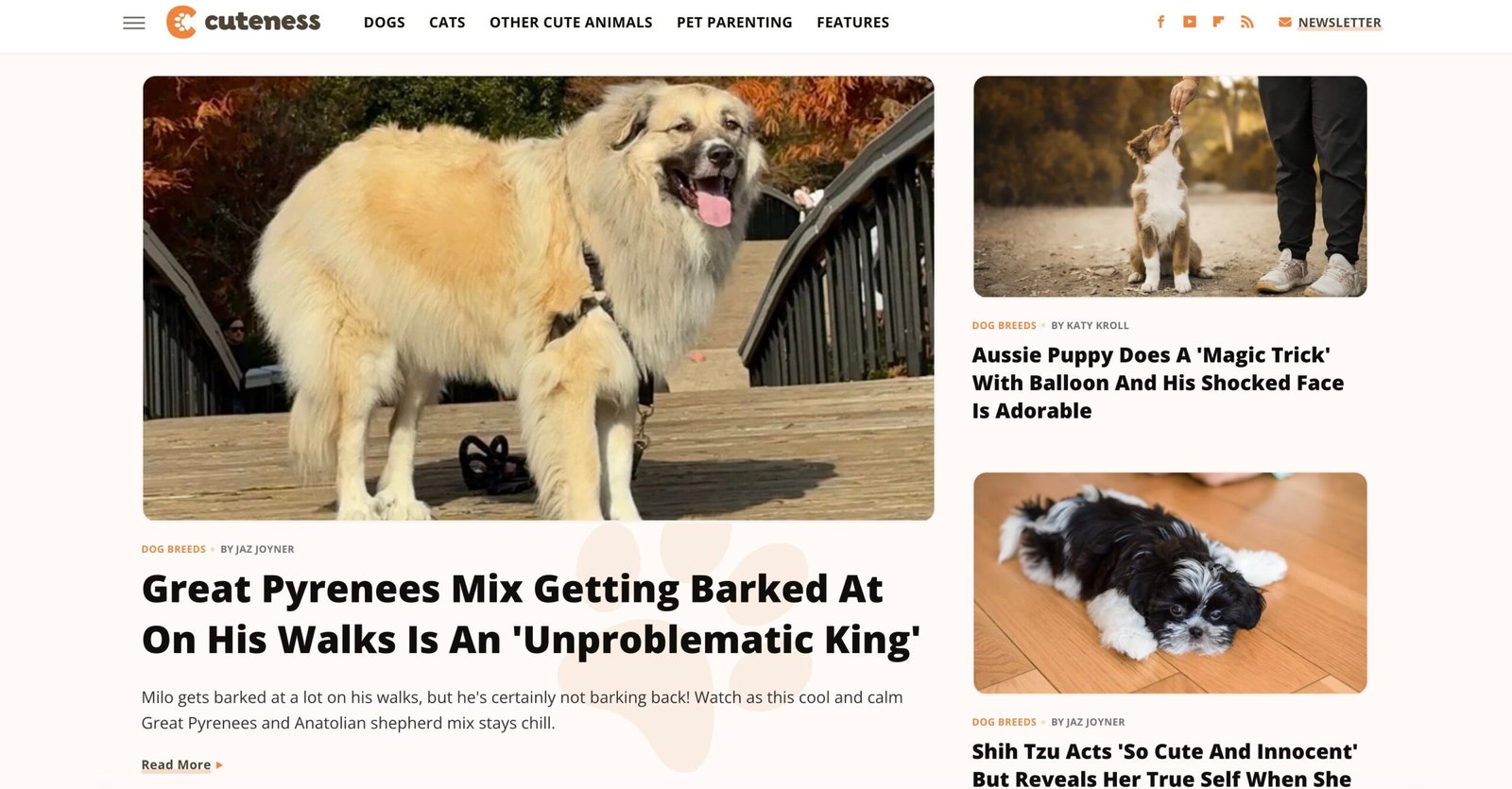 Person writing a pet-related article
